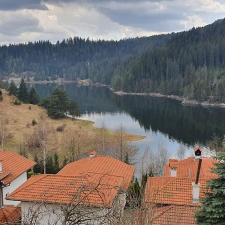 Вила Родопи Doszpat Kültér fotó